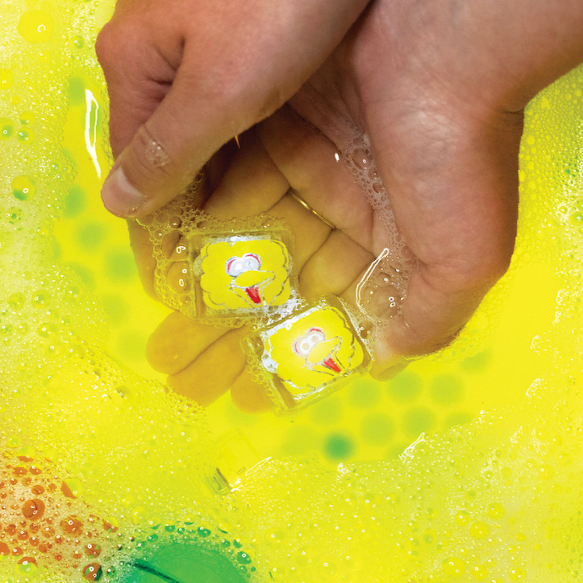 Big Bird Light-Up Cubes